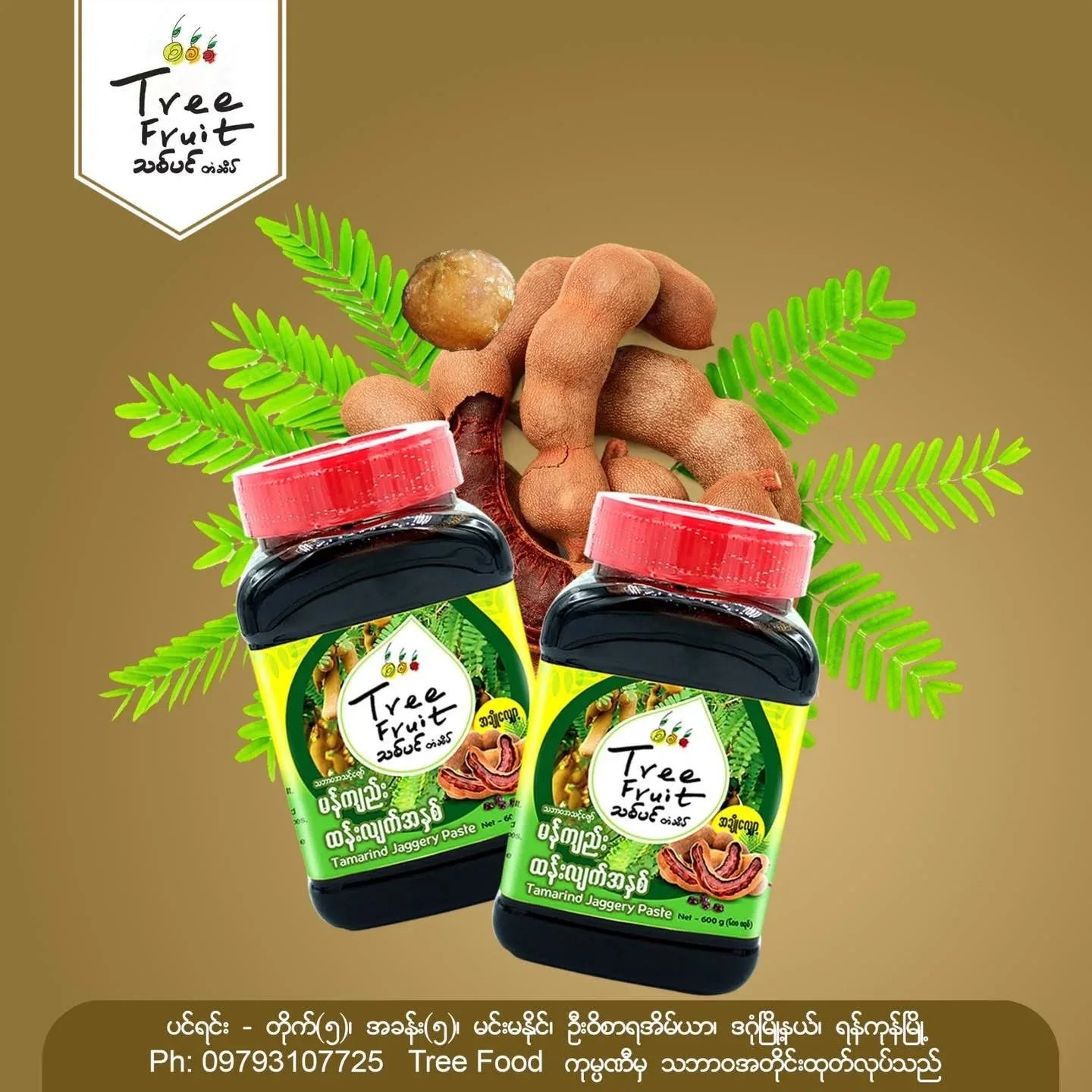 Tree Fruit မန်ကျည်းထန်းလျက်အနှစ် 600g - Easy Bites