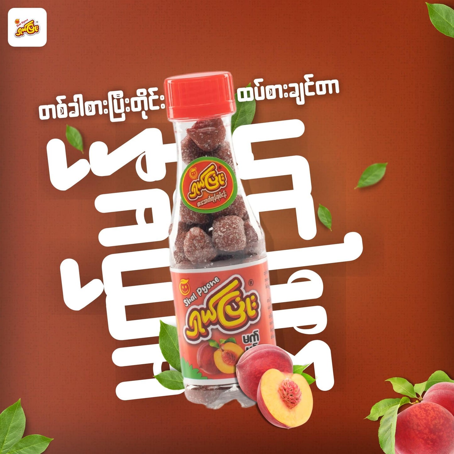 ရှယ်ပြုံး မက်မွန် တော်ဖီ - Easy Bites