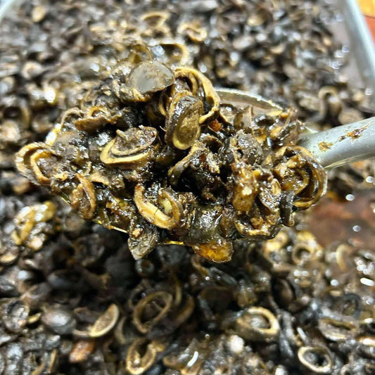 H&H အင်ဥကြော် (H&H Fried False Earthstars)