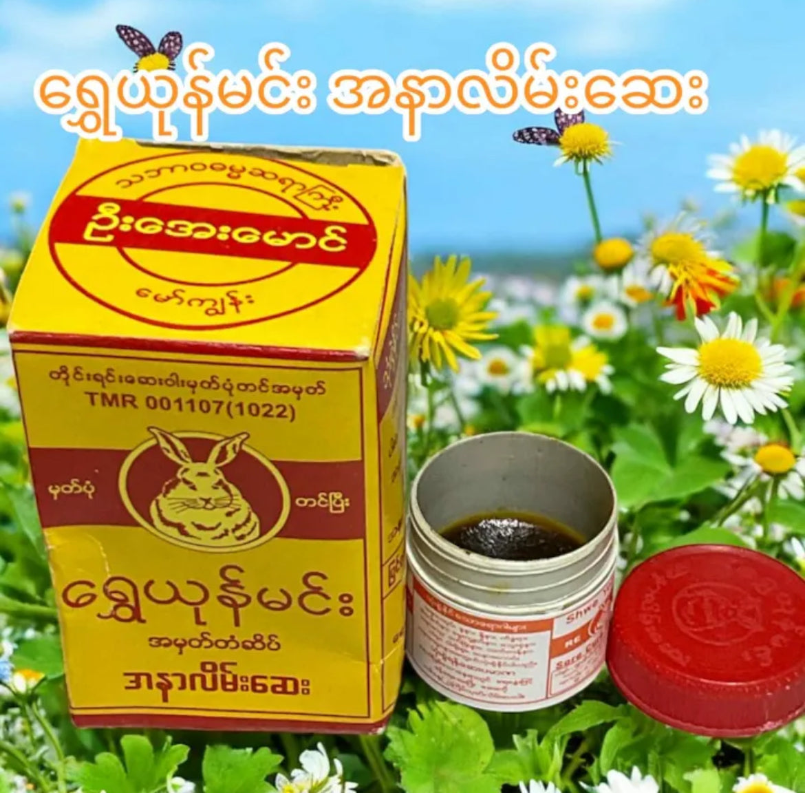 ရွှေယုန်မင်း အနာလိမ်းဆေး