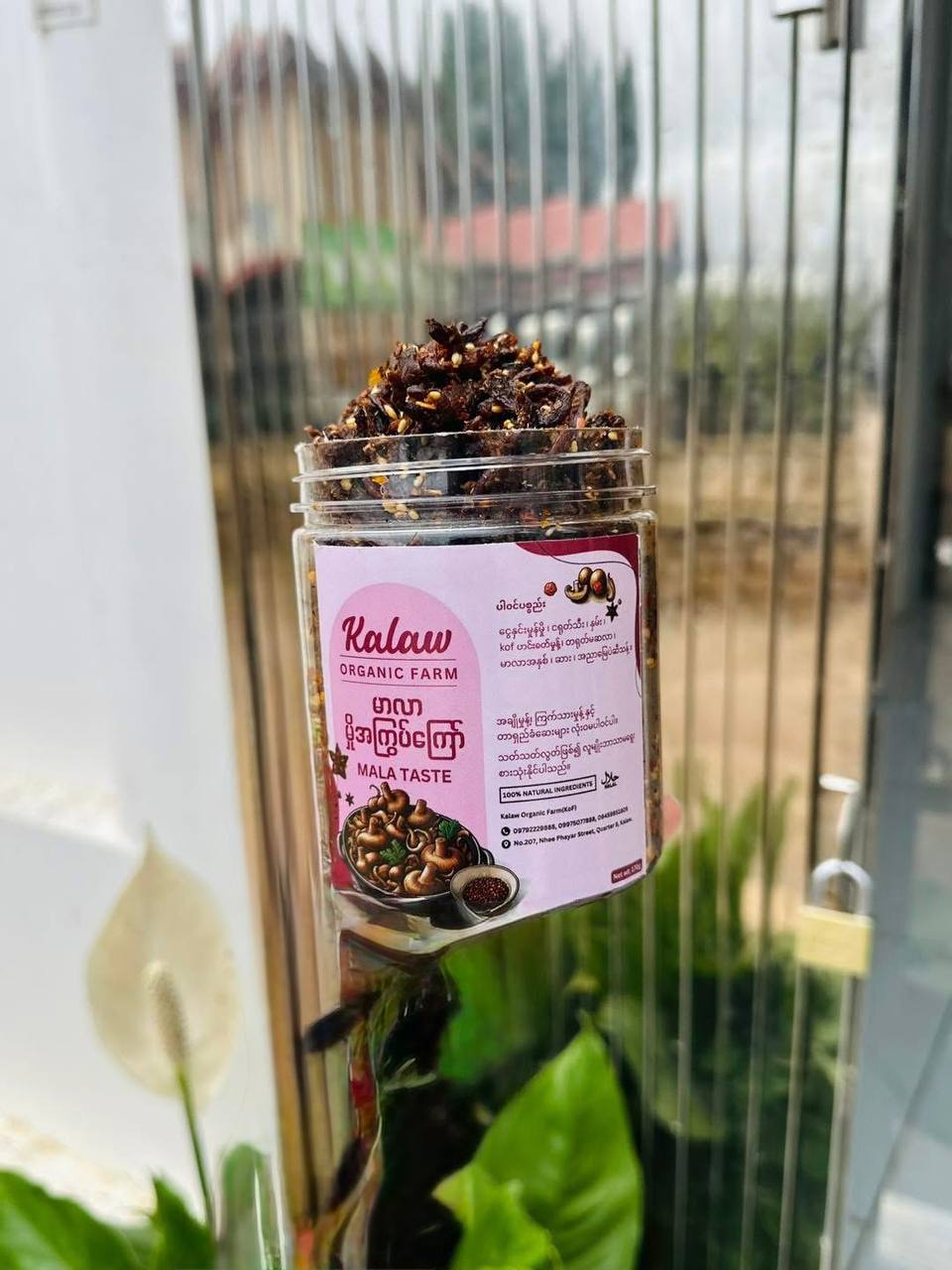 Kalaw organic farm မှိူမာလာအကြွပ်ကြော်