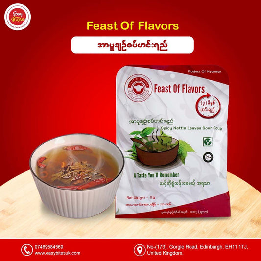 Feast of flavors အာပူချဉ်စပ် ဟင်းရည်