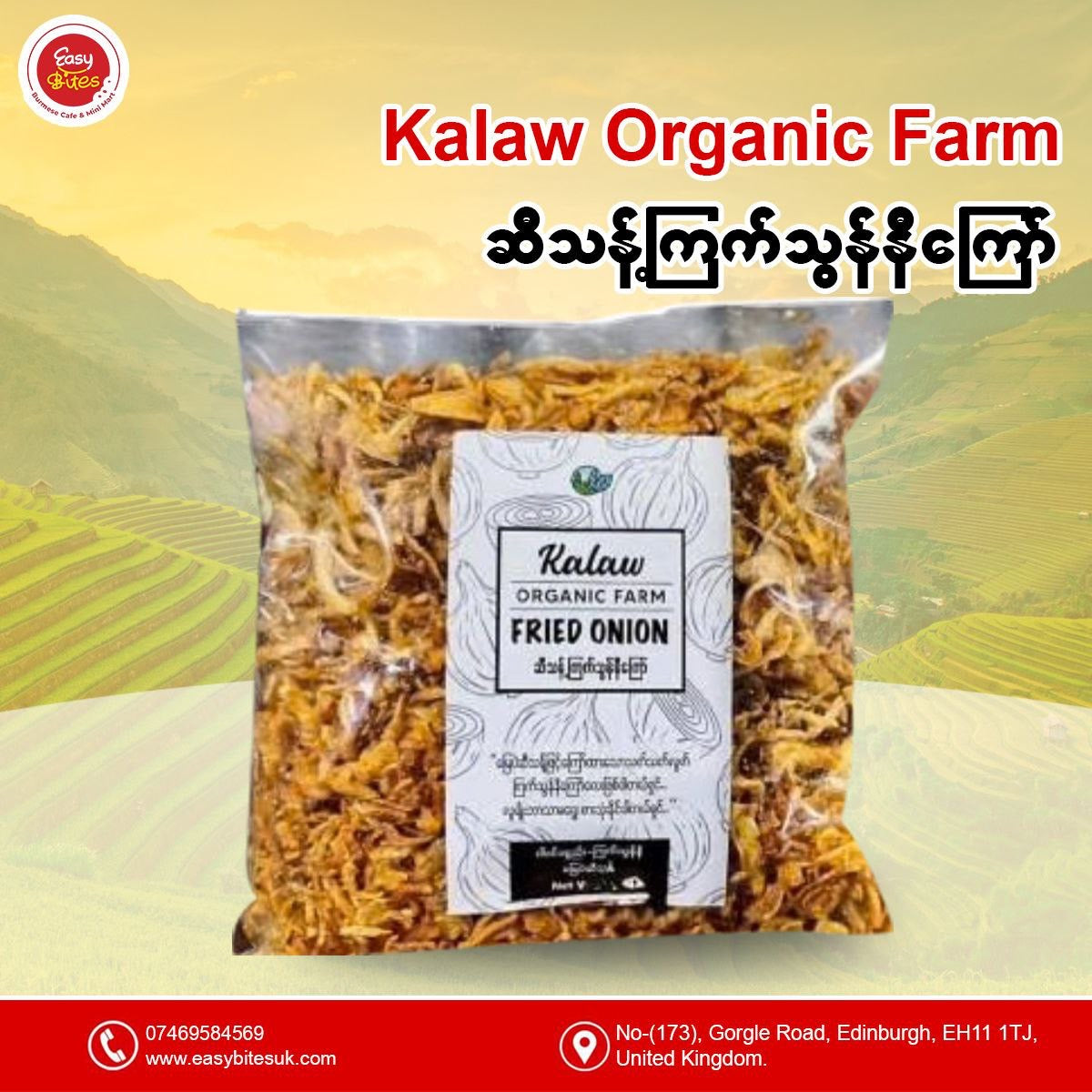 Kalaw organic farm ကြက်သွန်နီကြော်