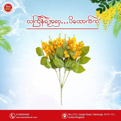 ပိတောက်ပန်း (၇ကိုင်းခိုင်)