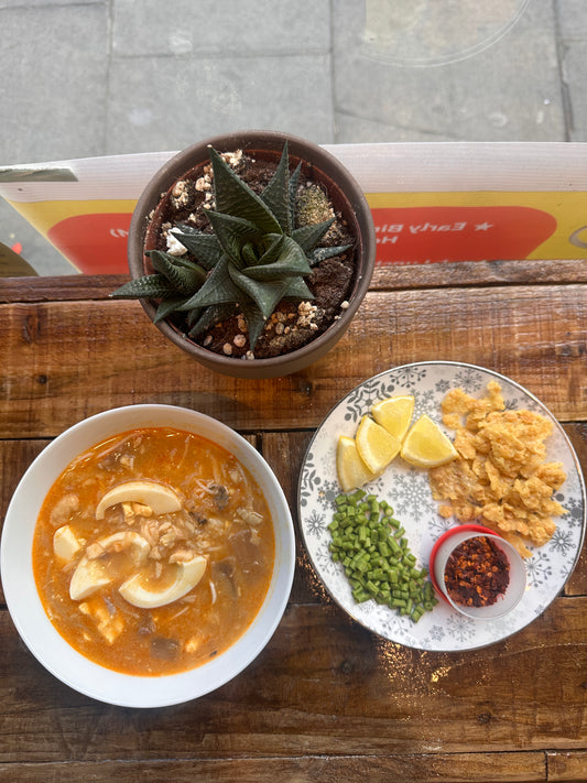 Noodle Bowl