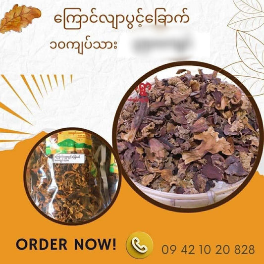 မကွေး ကြောင်လျှာပွင့်ခြောက် ၁၀သား