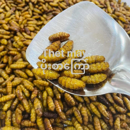 သက်မေ ပိုးစာကြော် - Easy Bites