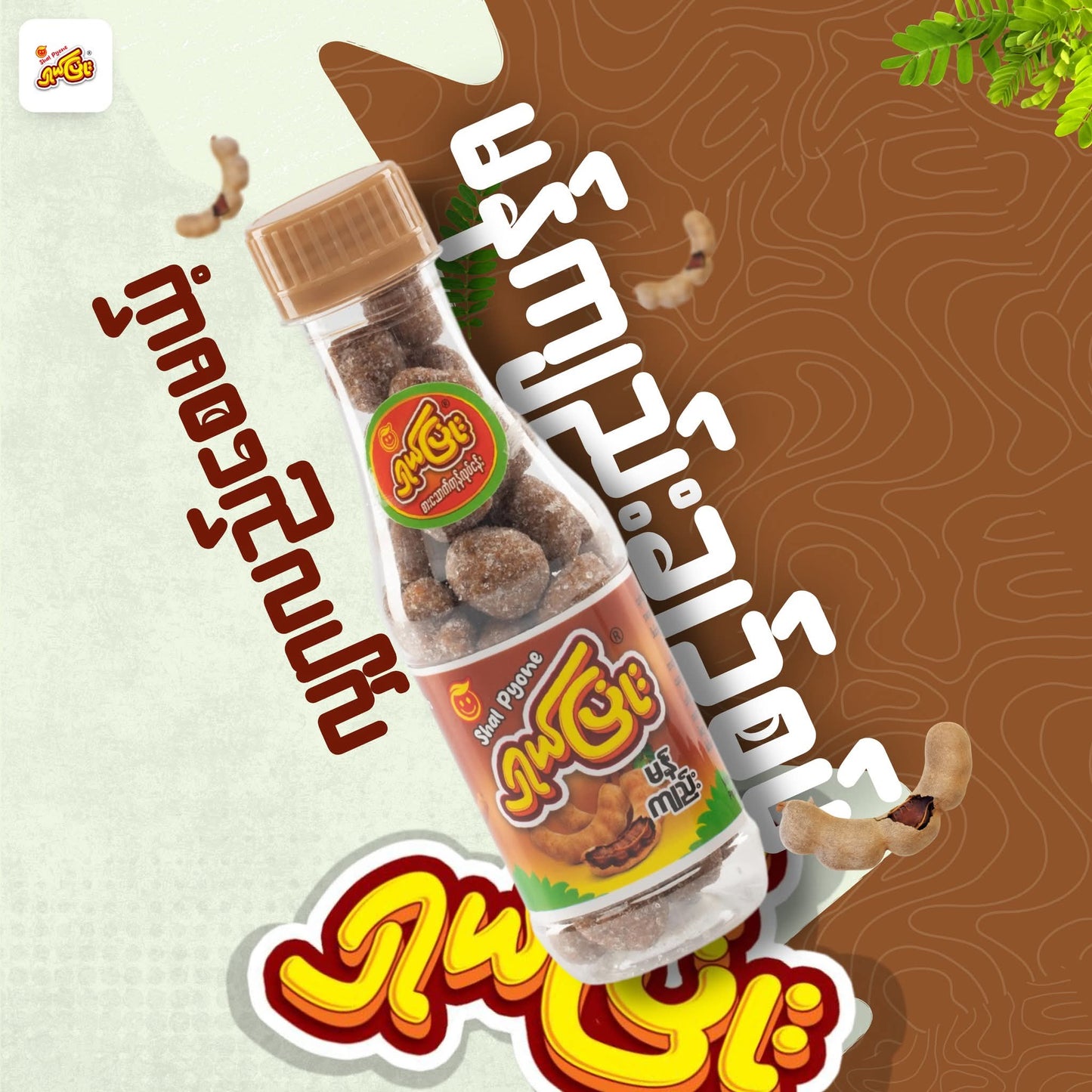 ရှယ်ပြုံး မန်ကျည်း ချဉ်စပ် တော်ဖီ